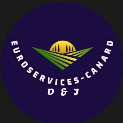 servicioscanard.com